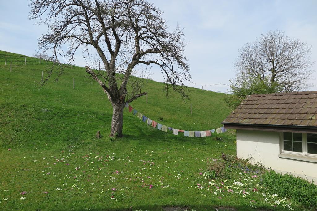 Bettingen B&B Sigrid Braun-Budde المظهر الخارجي الصورة